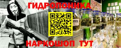 прущие крисы Обь